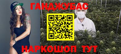 прущие грибы Ставрополь