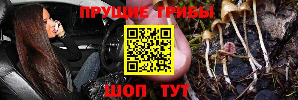 Псилоцибиновые грибы мухоморы Нальчик