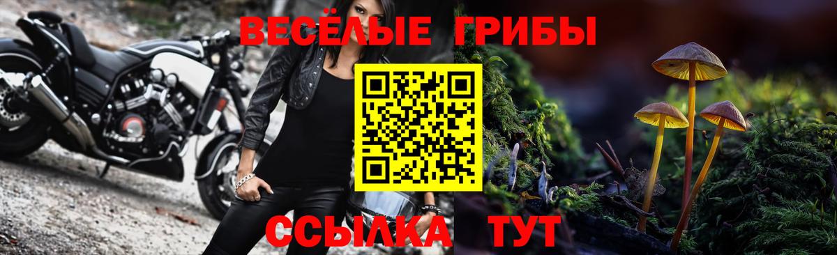Псилоцибиновые грибы Psilocybe  Вход с VPN  Галлюциногенные грибы ЛСД  Нальчик 